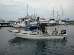 DSC00979.jpg