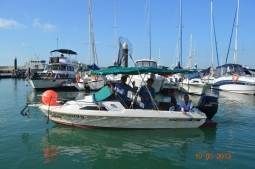 DSC_0147.jpg